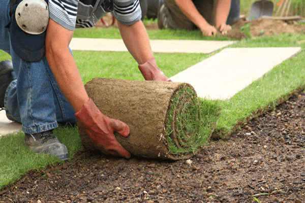 Landscaping work 